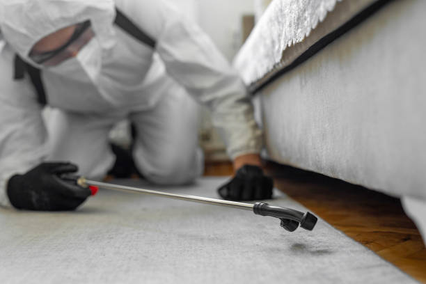 Professional Emergency Pest Control technician working in Spring, TX