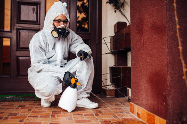 Reliable Emergency Pest Control contractor in Spring, TX by Nex Pest Control